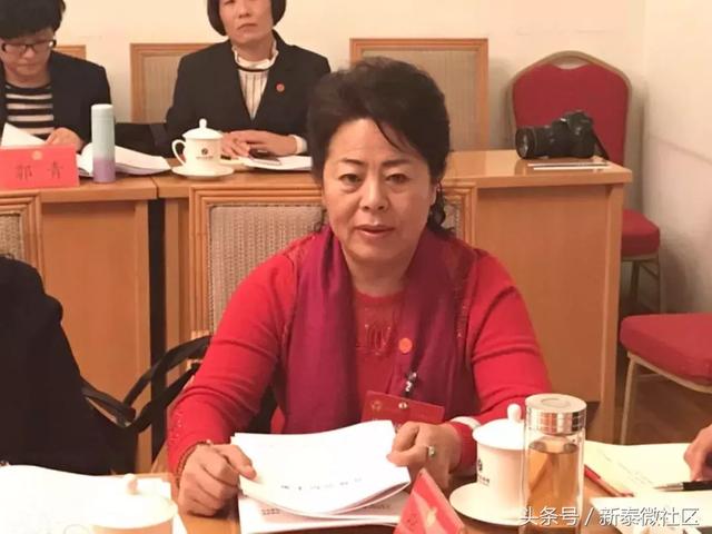 垄断周边建筑工程承建,获利超3亿  以张宸,赵文菊为首的黑社会性质