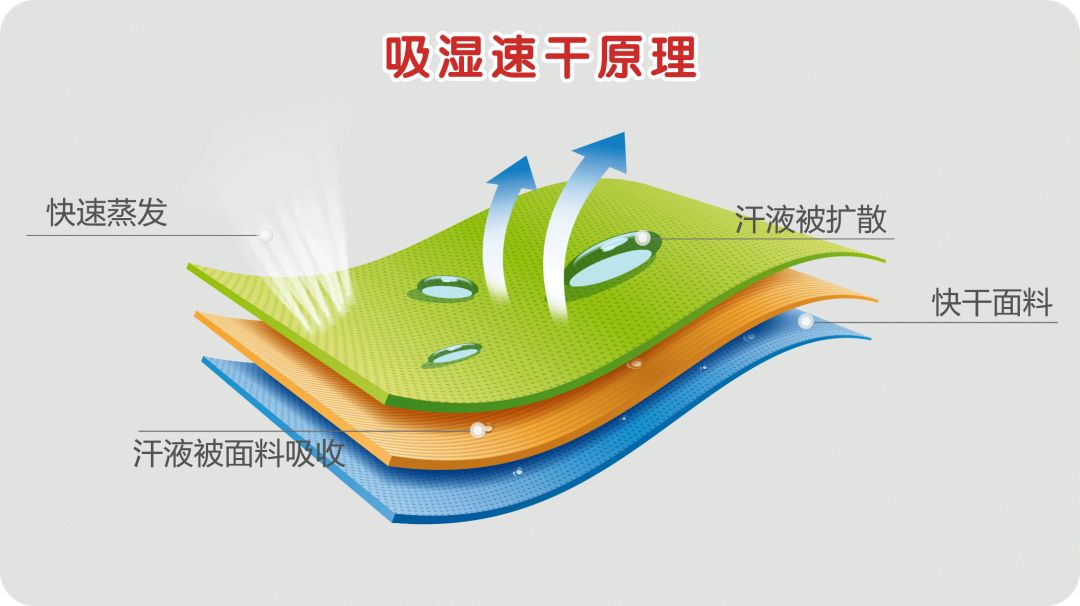 吸湿速干原理.jpeg