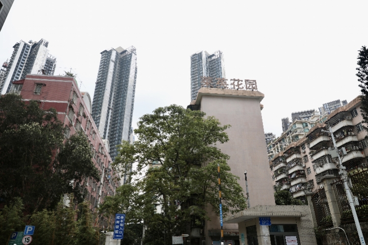 imagefile 微信图片_20191112194942.jpg