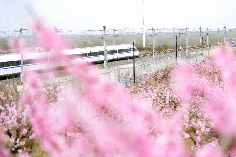 201904080713e.jpg
