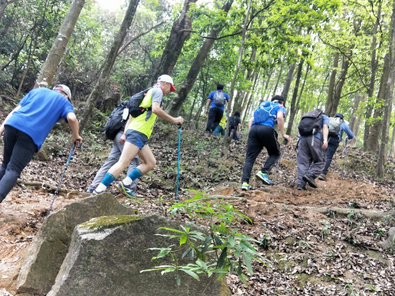 imagefile 800x600_5f97f37e37670.jpg