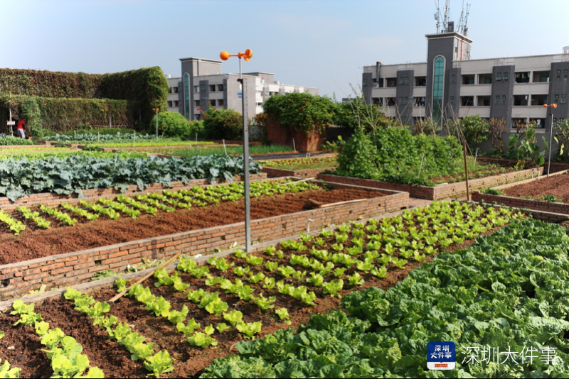 imagefile 微信截图_20201104223439.png